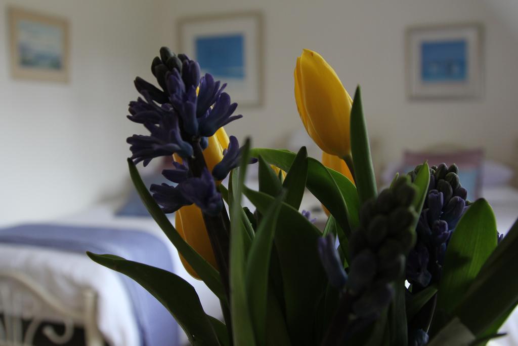 Sunny Cottage Maidenhead Quarto foto